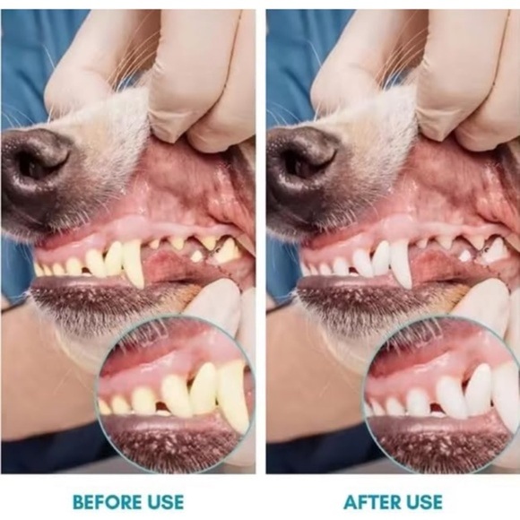 Pets 360º Dog Toothbrush‎ Kit - Blue - Picture 8 of 11